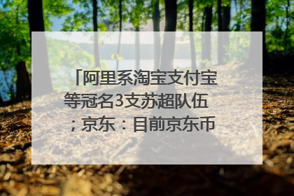 阿里系淘宝支付宝等冠名3支苏超队伍；京东：目前京东币链科技并没有开始发行稳定币｜早资道