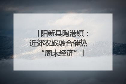 阳新县陶港镇：近郊农旅融合催热“周末经济”