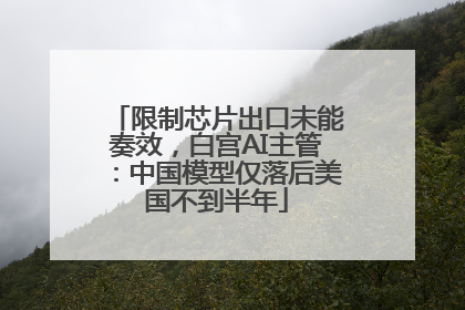 限制芯片出口未能奏效，白宫AI主管：中国模型仅落后美国不到半年