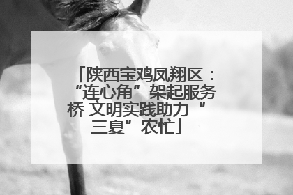 陕西宝鸡凤翔区：“连心角”架起服务桥 文明实践助力“三夏”农忙