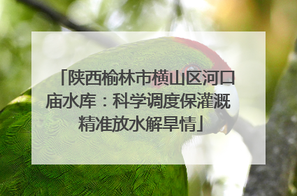 陕西榆林市横山区河口庙水库：科学调度保灌溉 精准放水解旱情