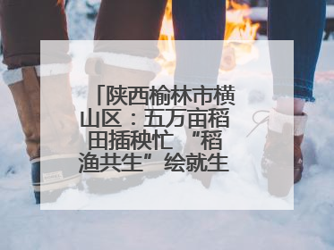 陕西榆林市横山区：五万亩稻田插秧忙 “稻渔共生”绘就生态富民新画卷