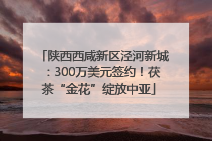 陕西西咸新区泾河新城：300万美元签约！茯茶“金花”绽放中亚