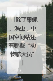 除了果蝇、涡虫，中国空间站还有哪些“动物航天员”