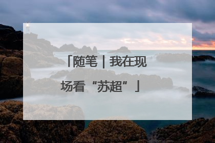 随笔｜我在现场看“苏超”