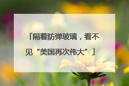 隔着防弹玻璃，看不见“美国再次伟大”