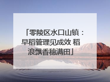 零陵区水口山镇：早稻管理见成效 稻浪飘香穗满田