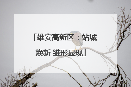 雄安高新区：站城焕新 雏形显现