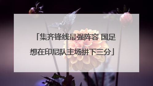 集齐锋线最强阵容 国足想在印尼队主场拼下三分