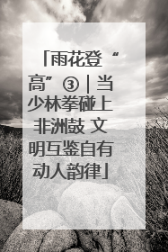雨花登“高”③｜当少林拳碰上非洲鼓 文明互鉴自有动人韵律
