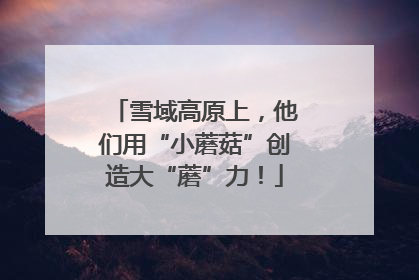 雪域高原上，他们用“小蘑菇”创造大“蘑”力！