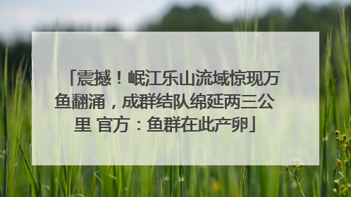 震撼！岷江乐山流域惊现万鱼翻涌，成群结队绵延两三公里 官方：鱼群在此产卵