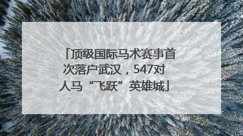 顶级国际马术赛事首次落户武汉，547对人马“飞跃”英雄城
