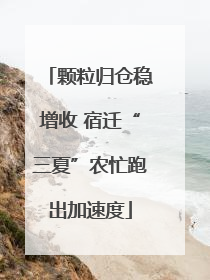 颗粒归仓稳增收 宿迁“三夏”农忙跑出加速度