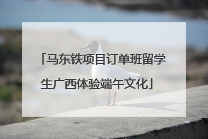 马东铁项目订单班留学生广西体验端午文化
