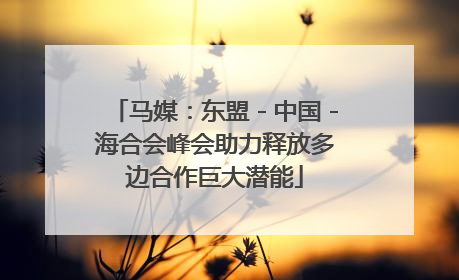 马媒：东盟－中国－海合会峰会助力释放多边合作巨大潜能