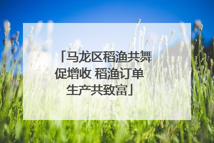 马龙区稻渔共舞促增收 稻渔订单生产共致富