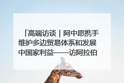高端访谈｜阿中愿携手维护多边贸易体系和发展中国家利益——访阿拉伯议会议长亚马希