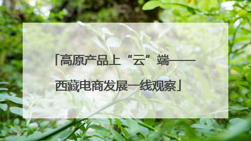 高原产品上“云”端——西藏电商发展一线观察
