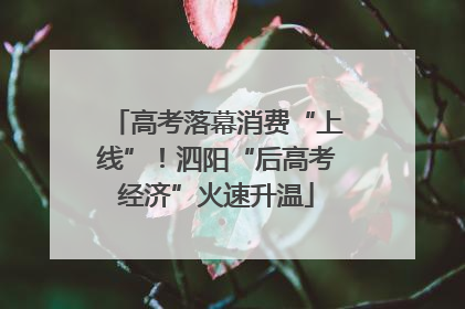 高考落幕消费“上线”！泗阳“后高考经济”火速升温