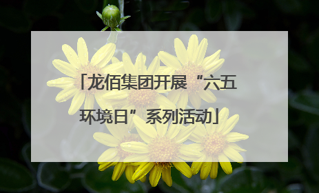 龙佰集团开展“六五环境日”系列活动