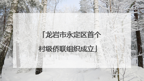 龙岩市永定区首个村级侨联组织成立