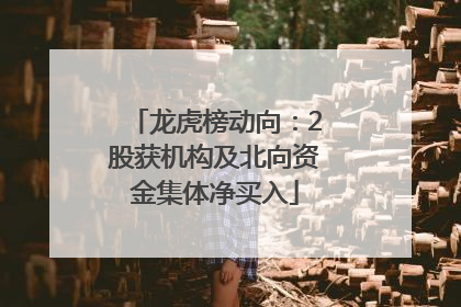 龙虎榜动向：2股获机构及北向资金集体净买入