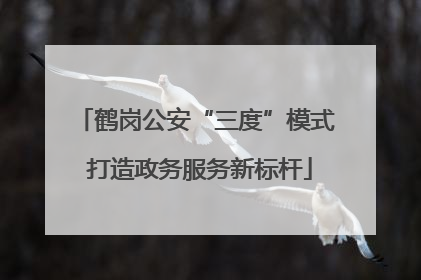鹤岗公安“三度”模式 打造政务服务新标杆