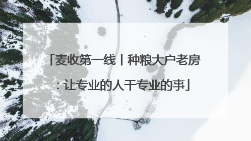 麦收第一线丨种粮大户老房：让专业的人干专业的事