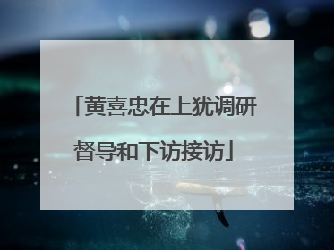 黄喜忠在上犹调研督导和下访接访
