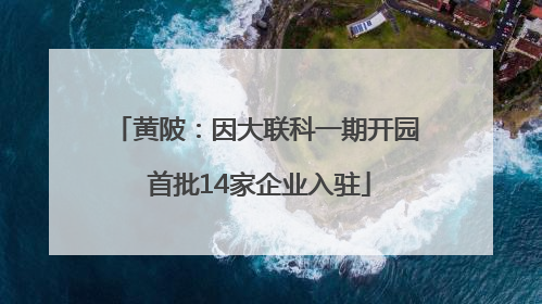 黄陂：因大联科一期开园 首批14家企业入驻