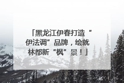 黑龙江伊春打造“伊法调”品牌，绘就林都新“枫”景！