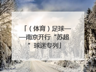 （体育）足球——南京开行“苏超”球迷专列