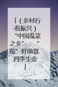 （乡村行·看振兴）“中国瓜菜之乡”：“莓”好前景 四季生金