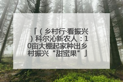 （乡村行·看振兴）科尔沁新农人：10亩大棚起家种出乡村振兴“甜蜜果”