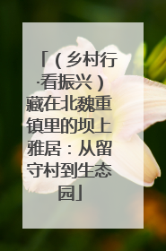 （乡村行·看振兴）藏在北魏重镇里的坝上雅居：从留守村到生态园