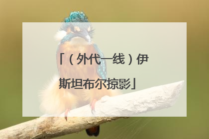 （外代一线）伊斯坦布尔掠影