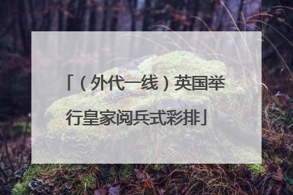 （外代一线）英国举行皇家阅兵式彩排