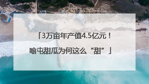 3万亩年产值4.5亿元！喻屯甜瓜为何这么“甜”