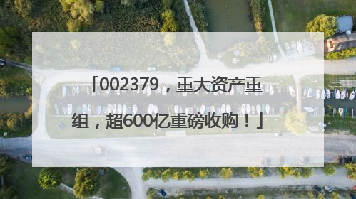 002379，重大资产重组，超600亿重磅收购！
