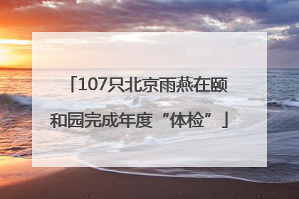 107只北京雨燕在颐和园完成年度“体检”