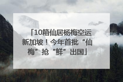 10箱仙居杨梅空运新加坡！今年首批“仙梅”抢“鲜”出国