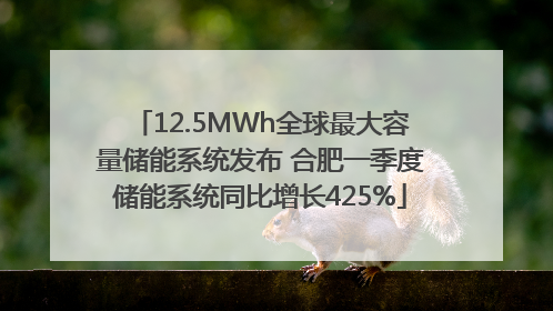12.5MWh全球最大容量储能系统发布 合肥一季度储能系统同比增长425%