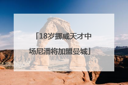 18岁挪威天才中场尼潘将加盟曼城