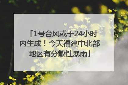 1号台风或于24小时内生成！今天福建中北部地区有分散性暴雨