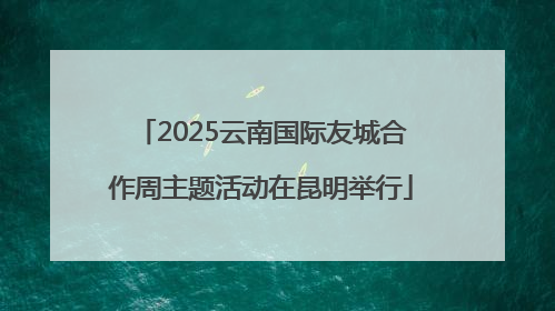 2025云南国际友城合作周主题活动在昆明举行