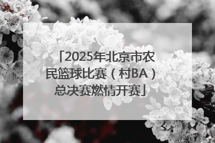 2025年北京市农民篮球比赛（村BA）总决赛燃情开赛