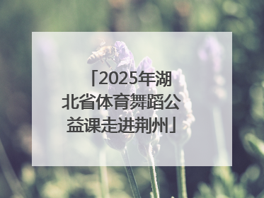 2025年湖北省体育舞蹈公益课走进荆州