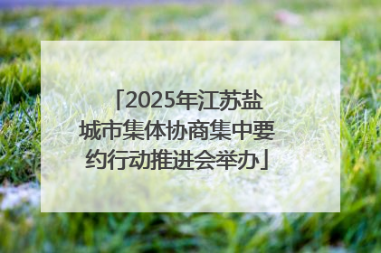 2025年江苏盐城市集体协商集中要约行动推进会举办