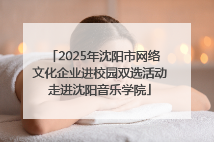 2025年沈阳市网络文化企业进校园双选活动走进沈阳音乐学院